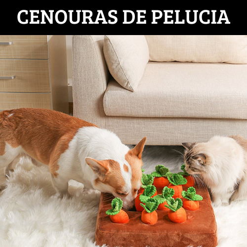 Kit Cenouras de Pelucia PetLove™ - Para gatos e cachorros