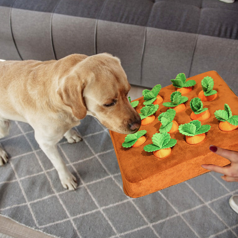 Kit Cenouras de Pelucia PetLove™ - Para gatos e cachorros